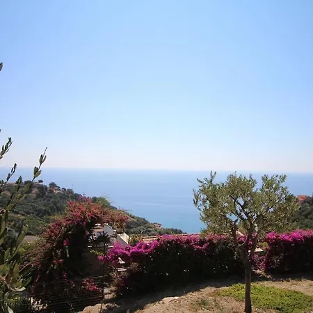 Alba Un Paradiso Da Vivere Con I Tuoi Animali Poggi