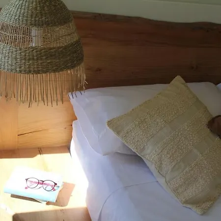 Villa Alba Un Paradiso Da Vivere Con I Tuoi Animali