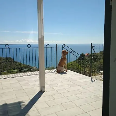Villa Alba Un Paradiso Da Vivere Con I Tuoi Animali
