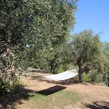 Alba Un Paradiso Da Vivere Con I Tuoi Animali Poggi