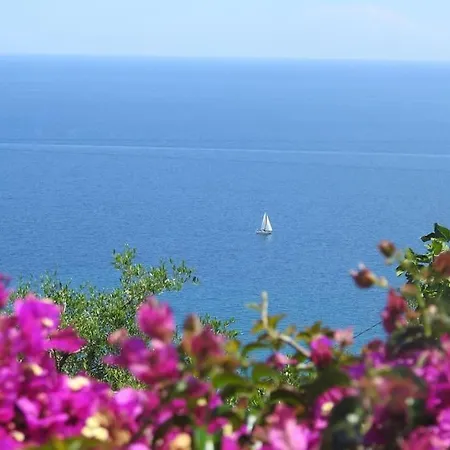 Alba Un Paradiso Da Vivere Con I Tuoi Animali Villa